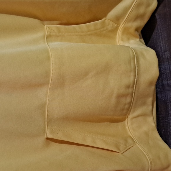 Colosseum UNIVERSITY OF MICHIGAN hoodie NWOT - Picture 3 of 6